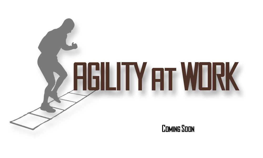 Agility at Work